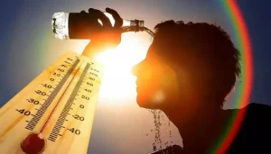 Heat Waves: Understanding the Phenomenon, Impacts, and Mitigation Strategies